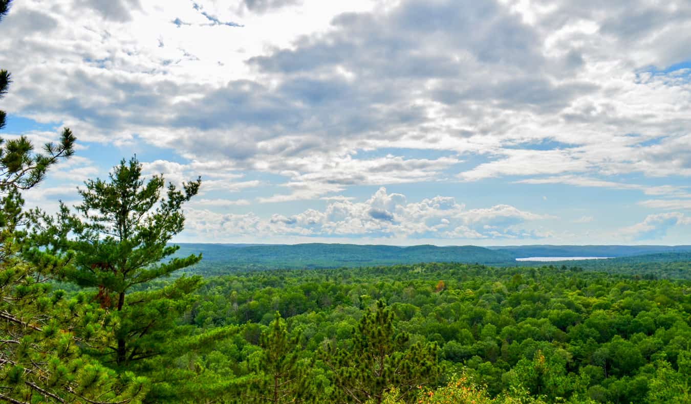 Una vista panorámica de los bosques en el parque Algonquin en Ontario, Canadá