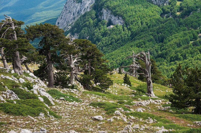 Parque Nacional Pollino