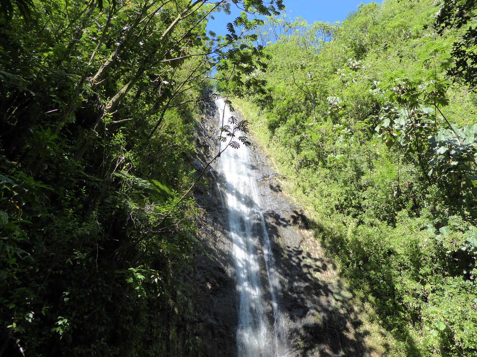 Las mejores excursiones a Oahu Manoa Falls Trail