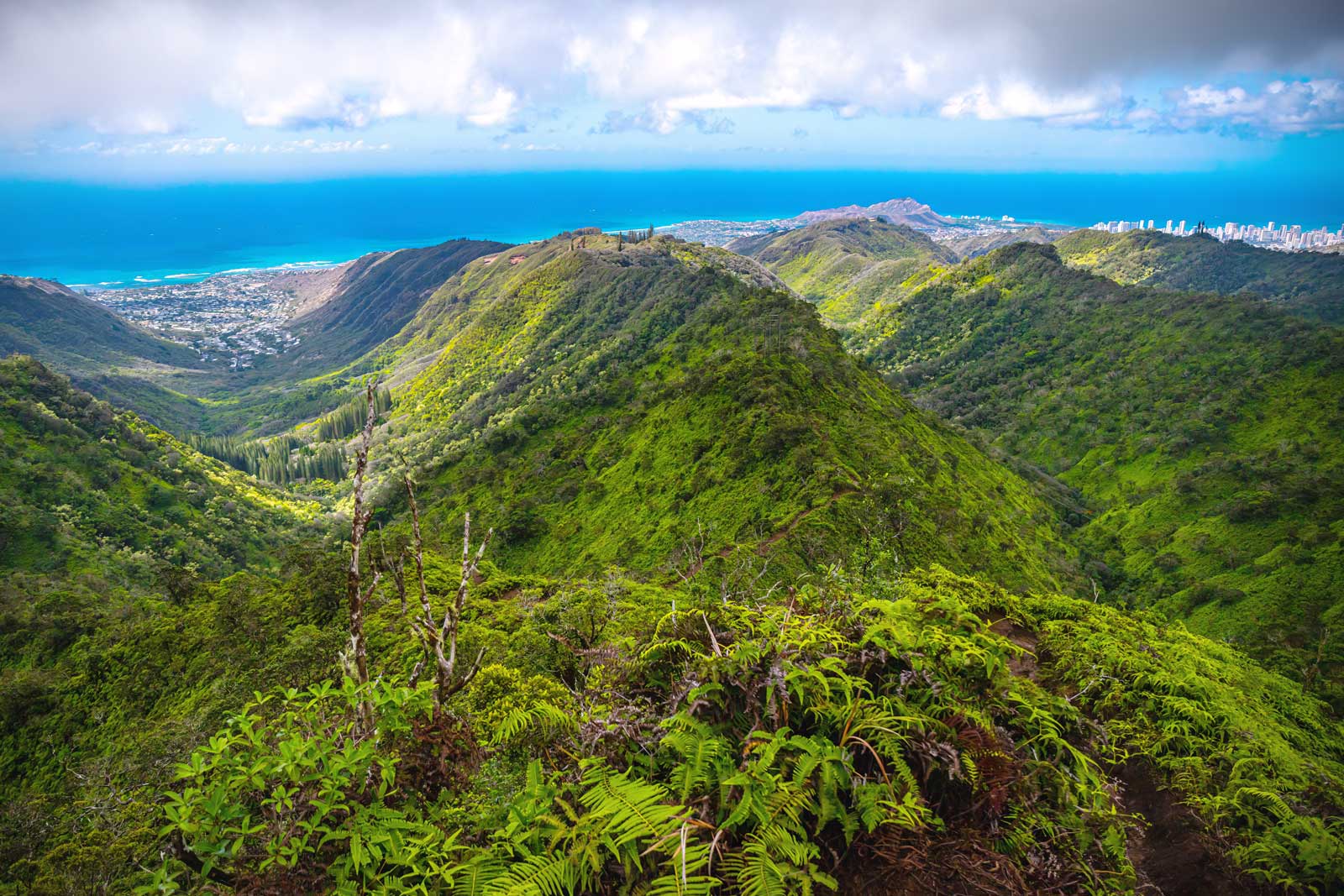 Las mejores excursiones a Oahu Wiliwilinui Ridge Trail