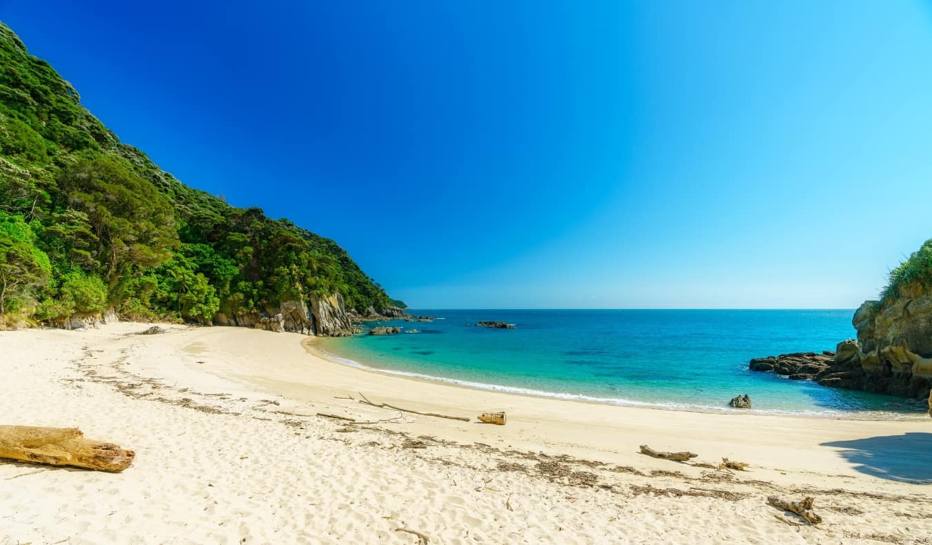 Playa de arena y aguas azules brillantes del parque nacional Abel Tasman en Nueva Zelanda