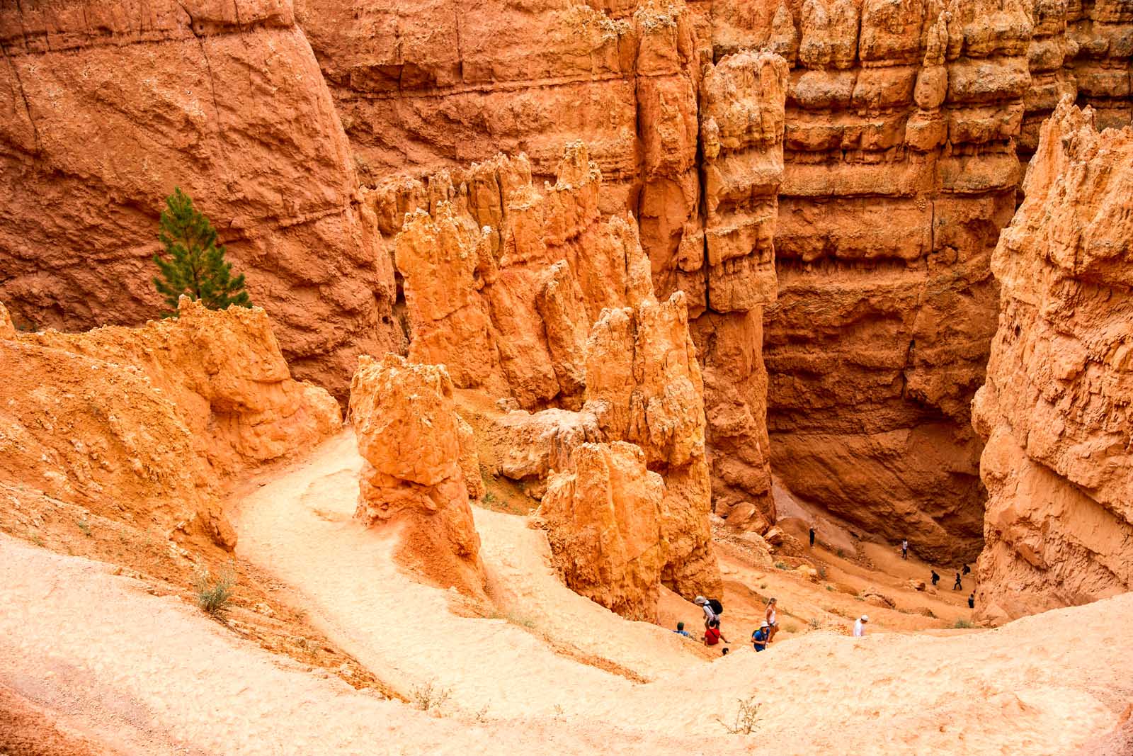 Excursiones populares en Bryce Canyon Navajo Loop Trail