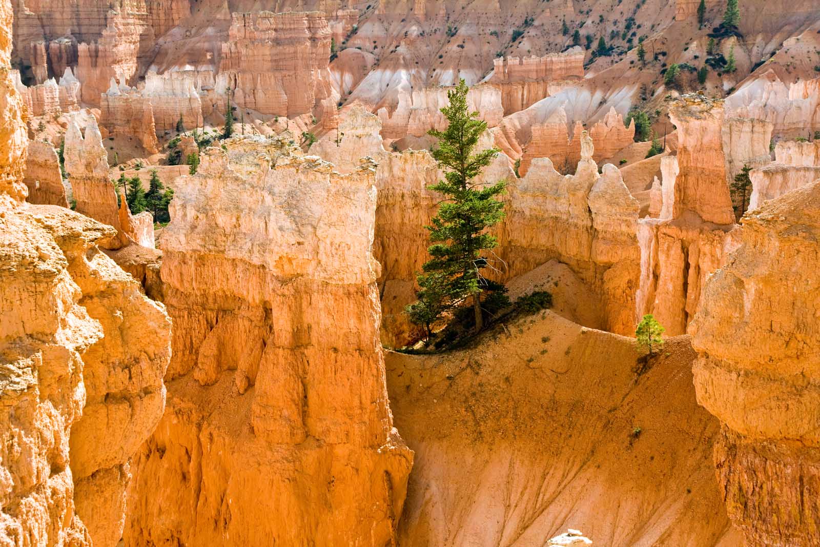 Las mejores excursiones a Bryce Canyon Navajo Loop Trail