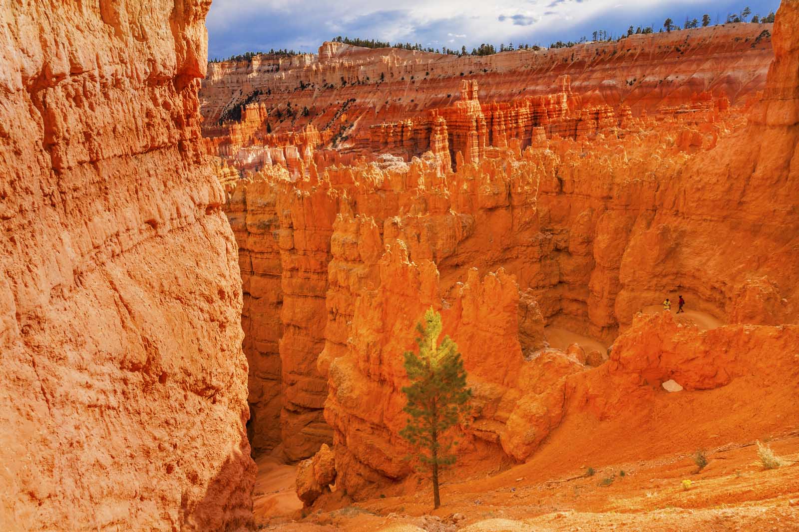 Las mejores excursiones a Bryce Canyon Bryce point