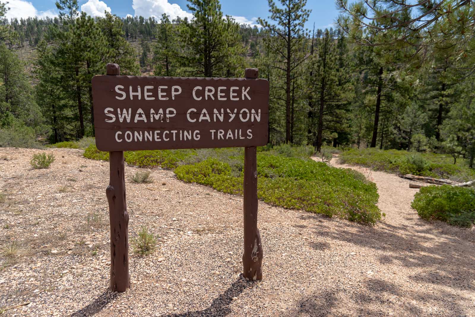 Las mejores excursiones a Bryce Canyon Sheeps Creek Swamp Canyon