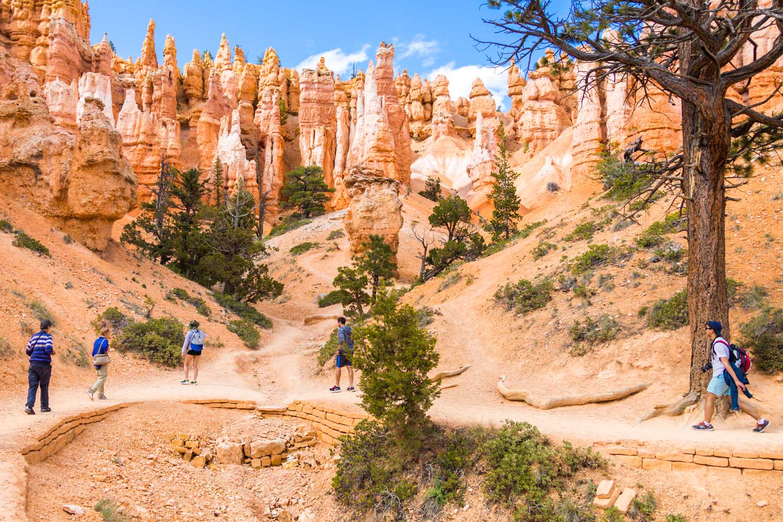 Excursiones divertidas en Bryce Canyon