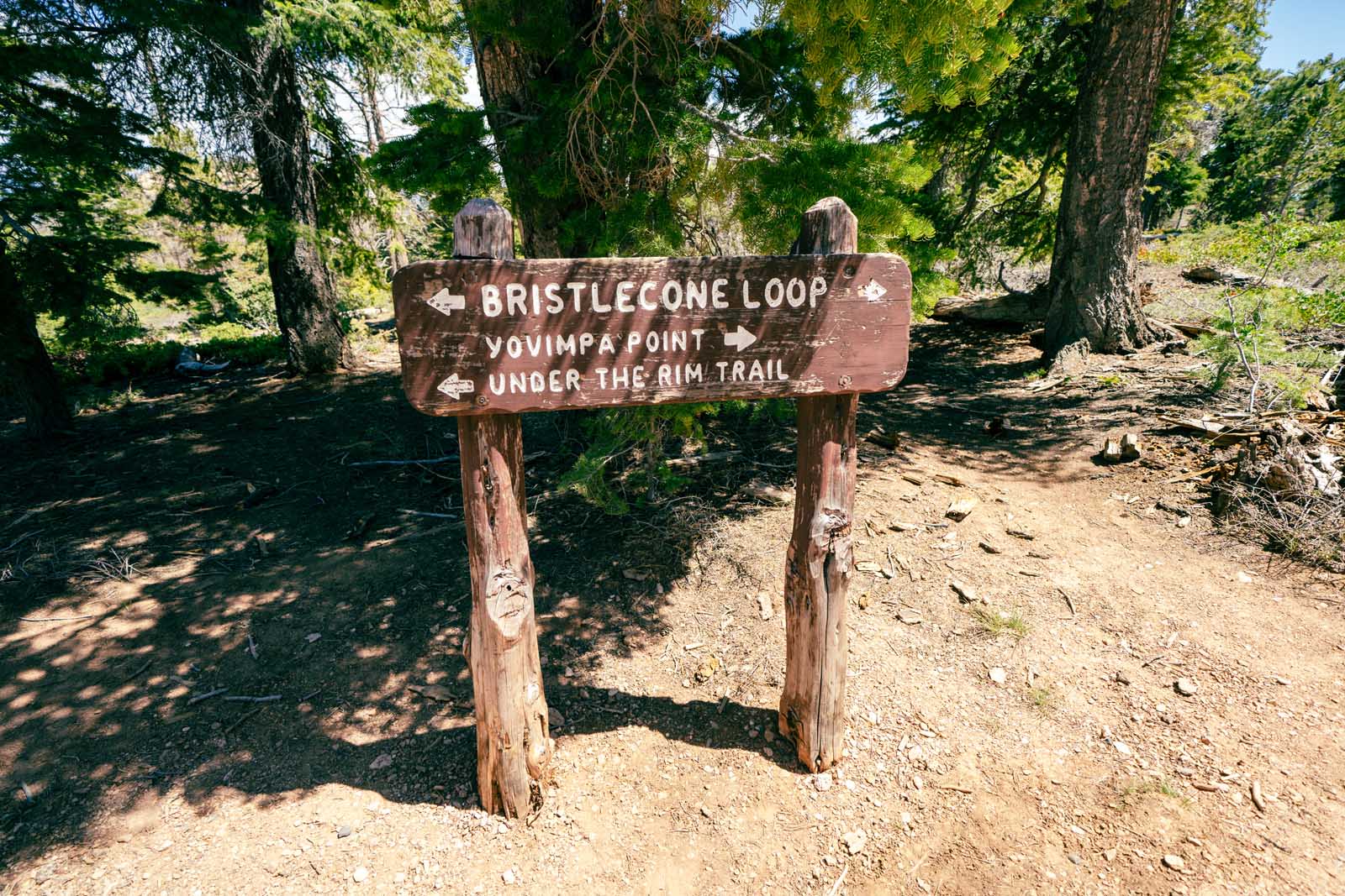 Las mejores excursiones a Bryce Canyon Bristlecone Loop