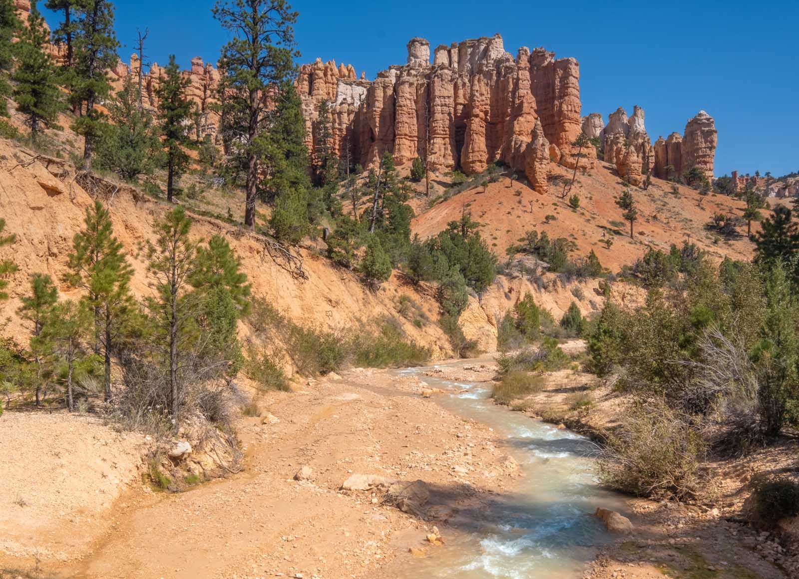 Las mejores excursiones a Bryce Canyon Mossy Cave Trail