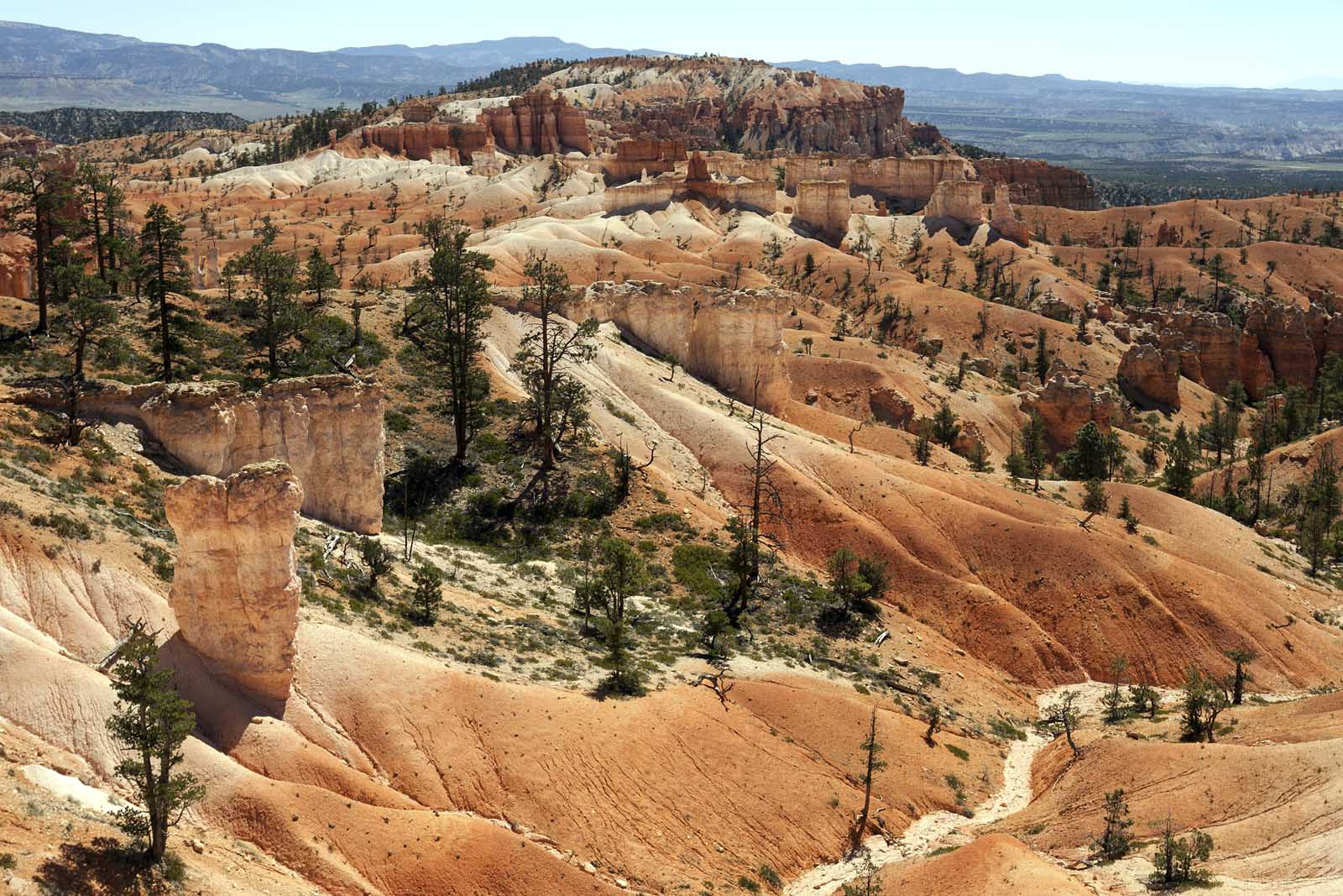 Las mejores excursiones a Bryce Canyon Queens Garden Navajo Loop