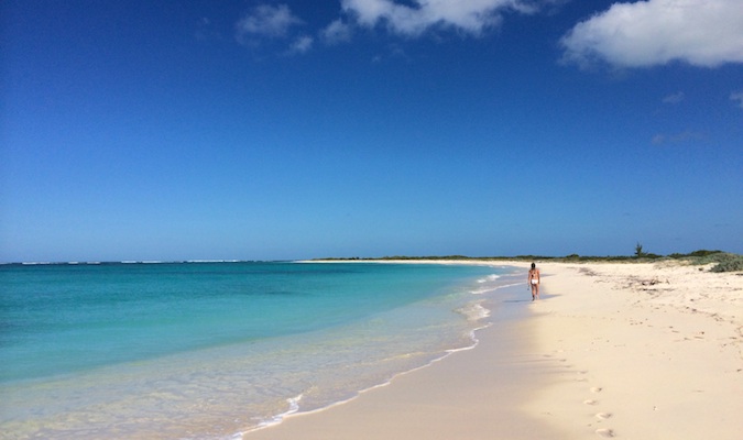 la playa vacía de anegada, vino