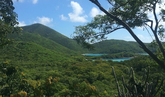 la playa de Buck Island, st. croix usvi