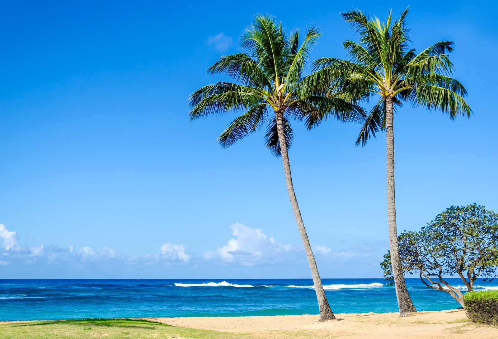 Los mejores lugares para alojarse en Kauai South Shore Poipu Beach