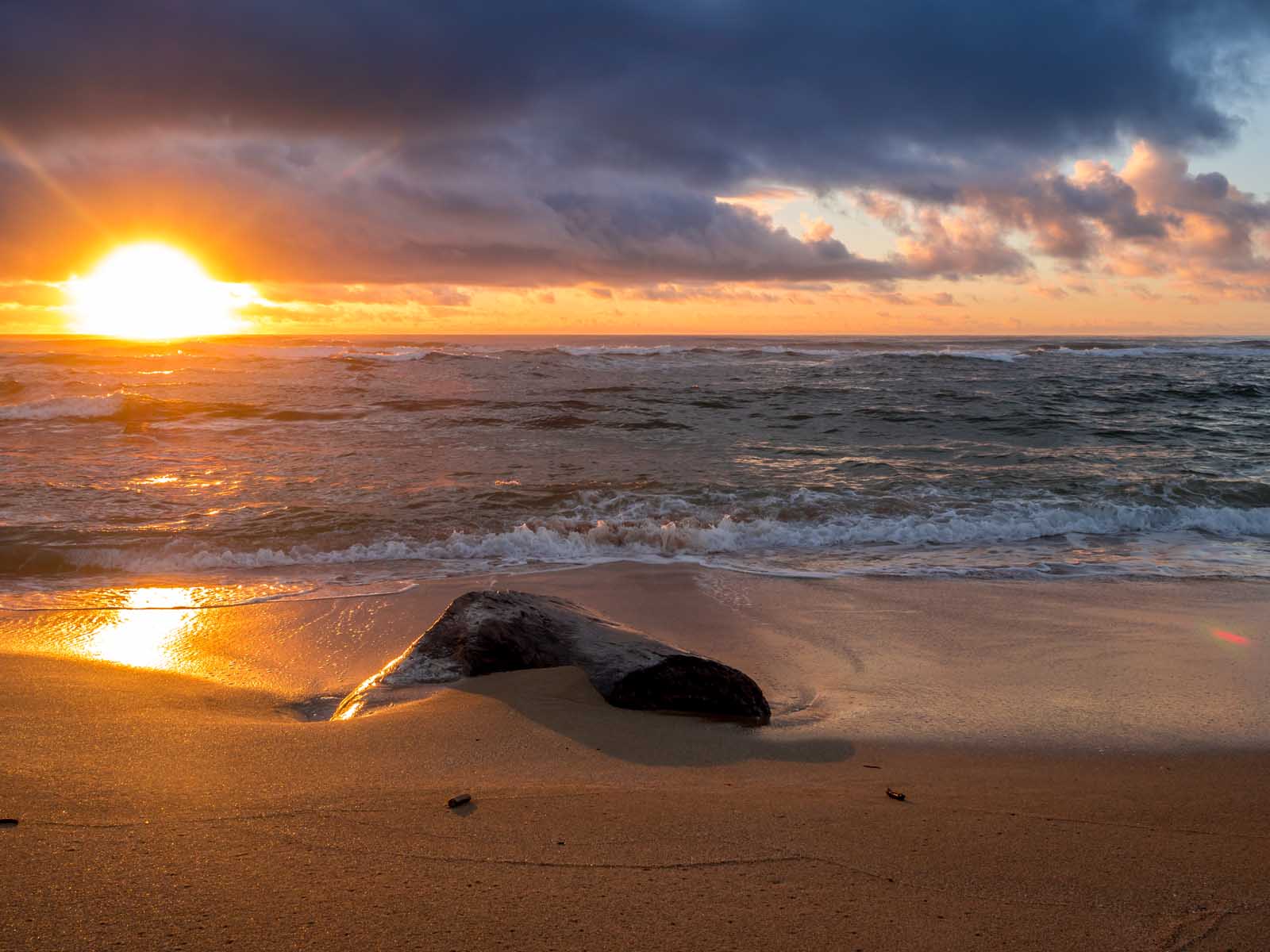 Los mejores lugares para alojarse en Kauai East Cost Lydgate State Park