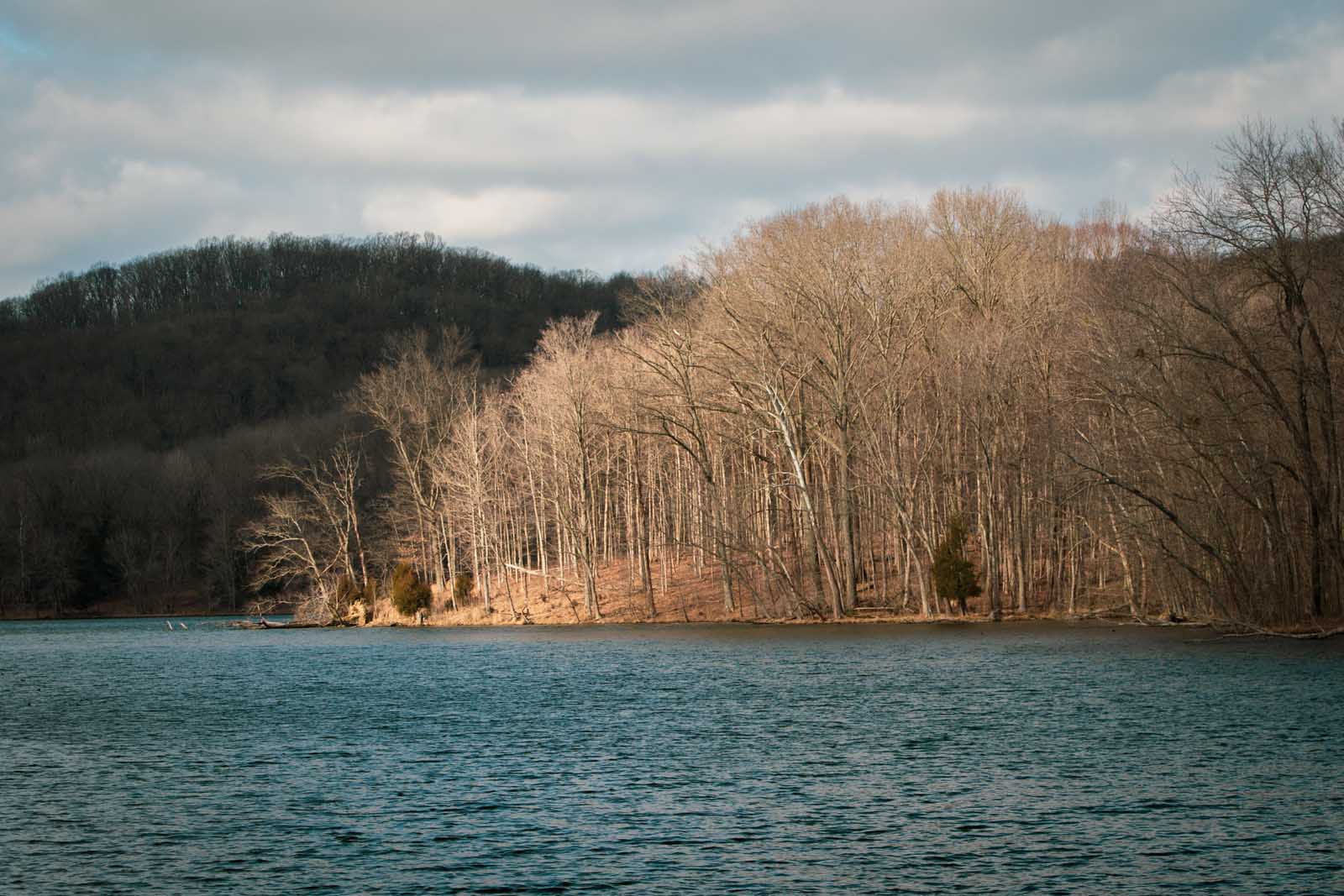 Las mejores excursiones cerca del parque estatal de Nashville Radnor Lake