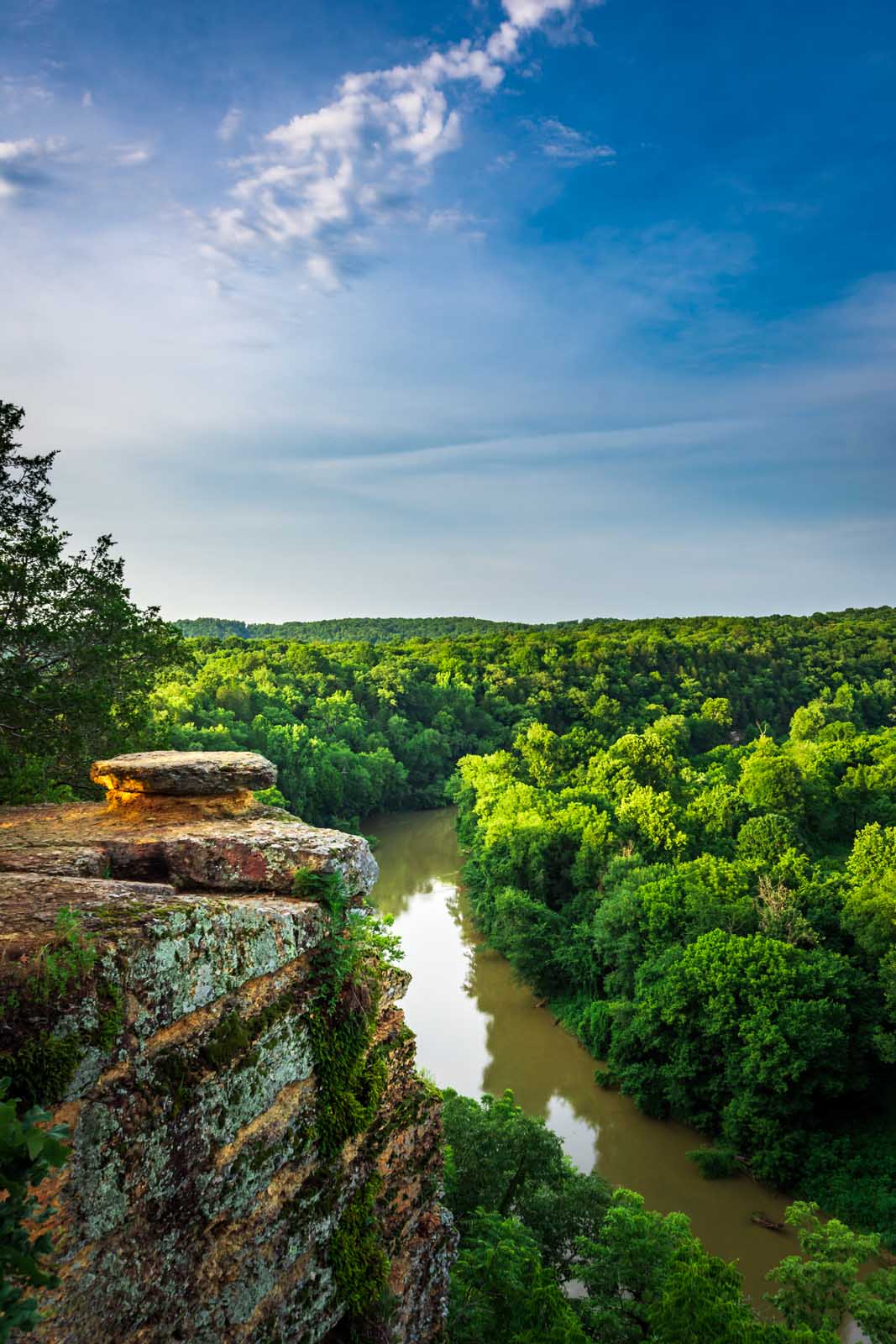 Las mejores excursiones cerca de Nashville Harpeth Woods Trail en el Harpeth River State Park