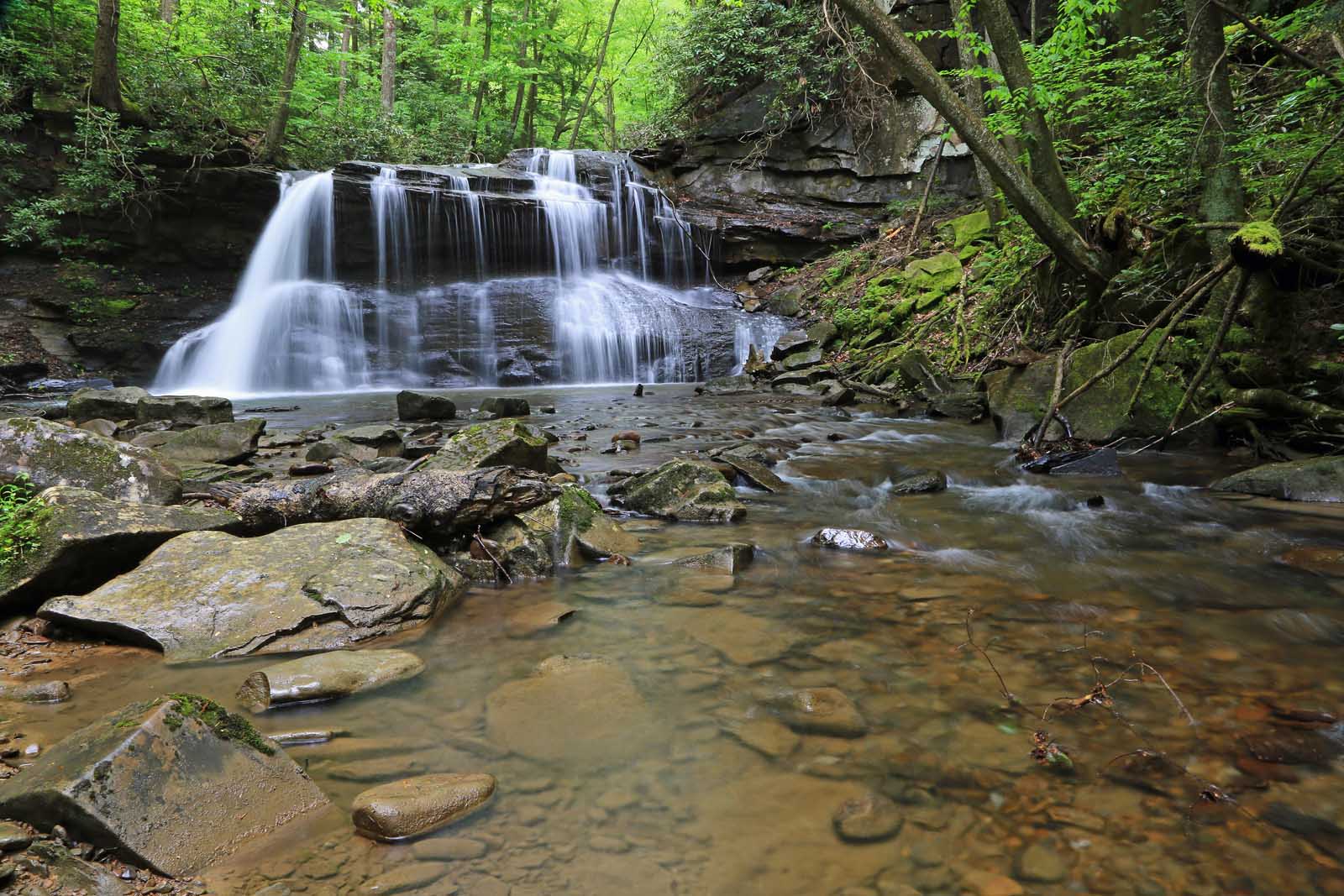 Las mejores excursiones cerca de Nashville Fiery Gizzard Trail