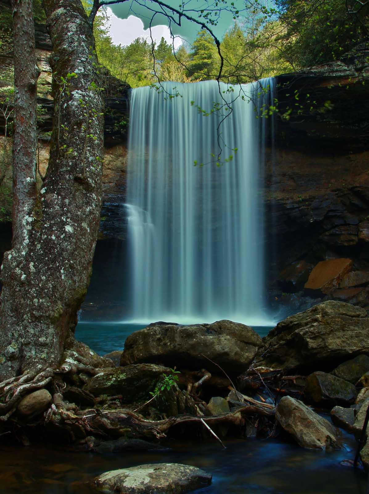 Las mejores excursiones cerca de Nashville Greeter Falls Loop