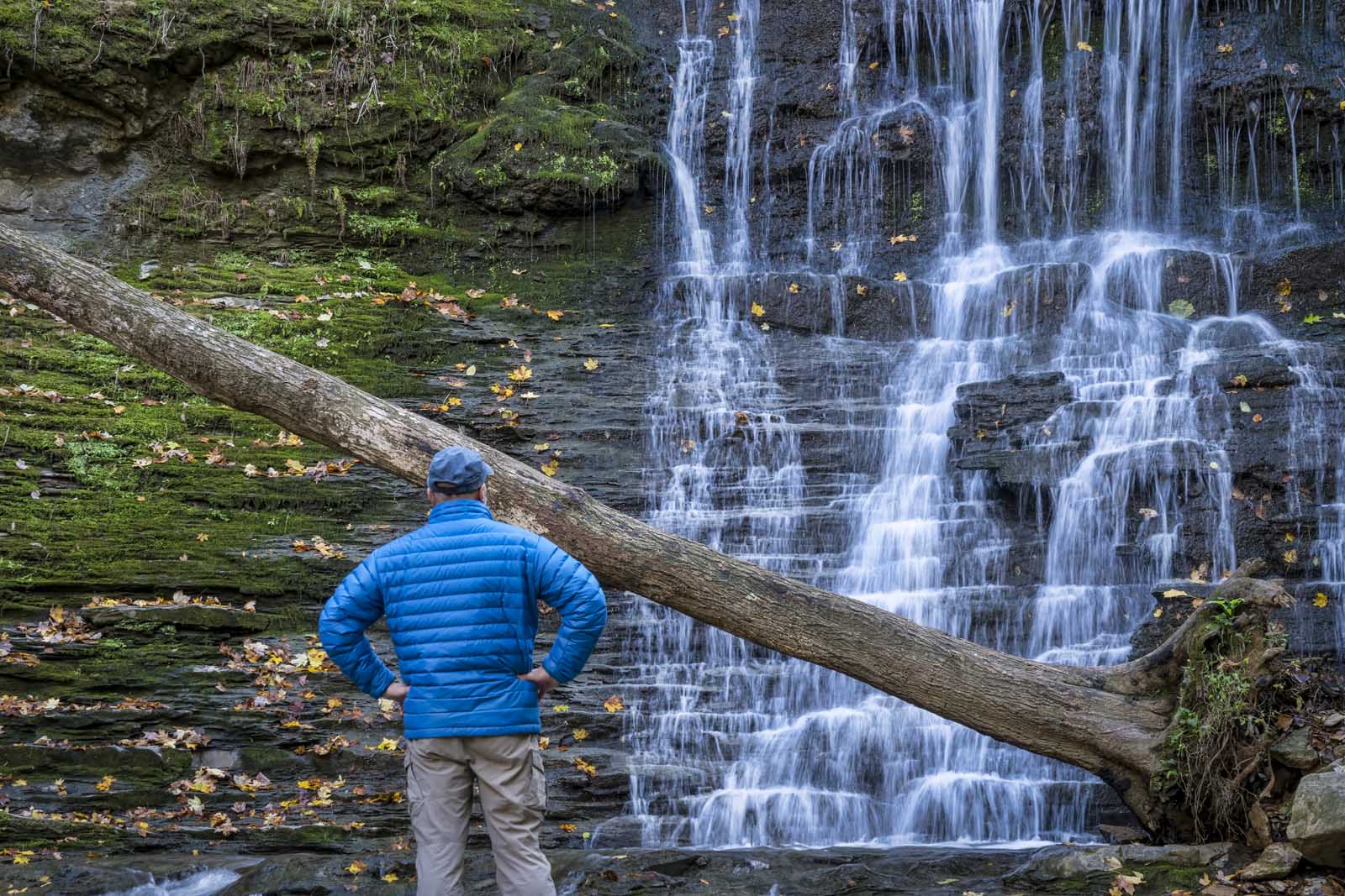 Las mejores excursiones cerca de Nashville Jackson Falls Trail