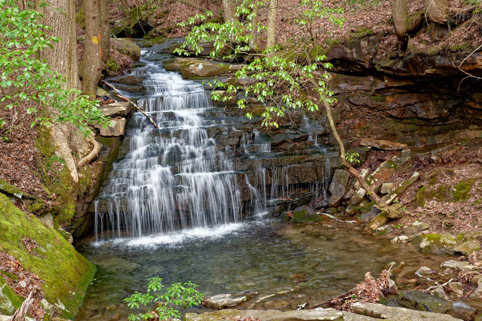 Las mejores excursiones cerca de Nashville Virgin Falls