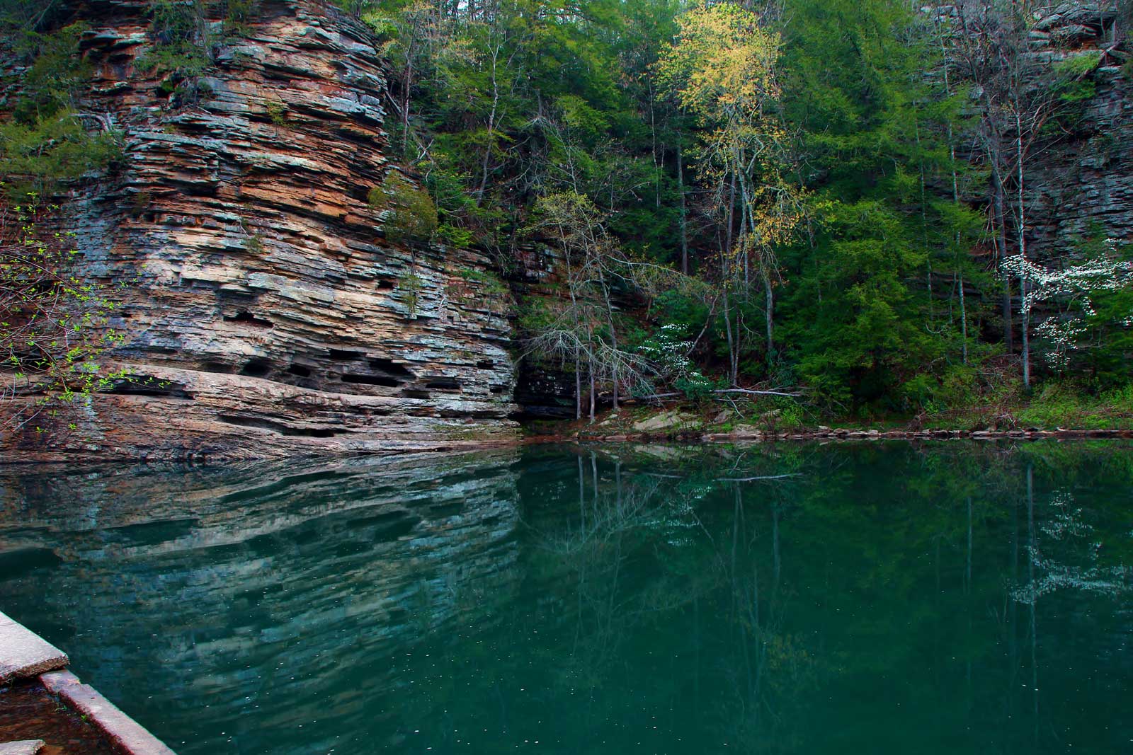 Las mejores excursiones cerca de Nashville Tennessee South Cove Trail