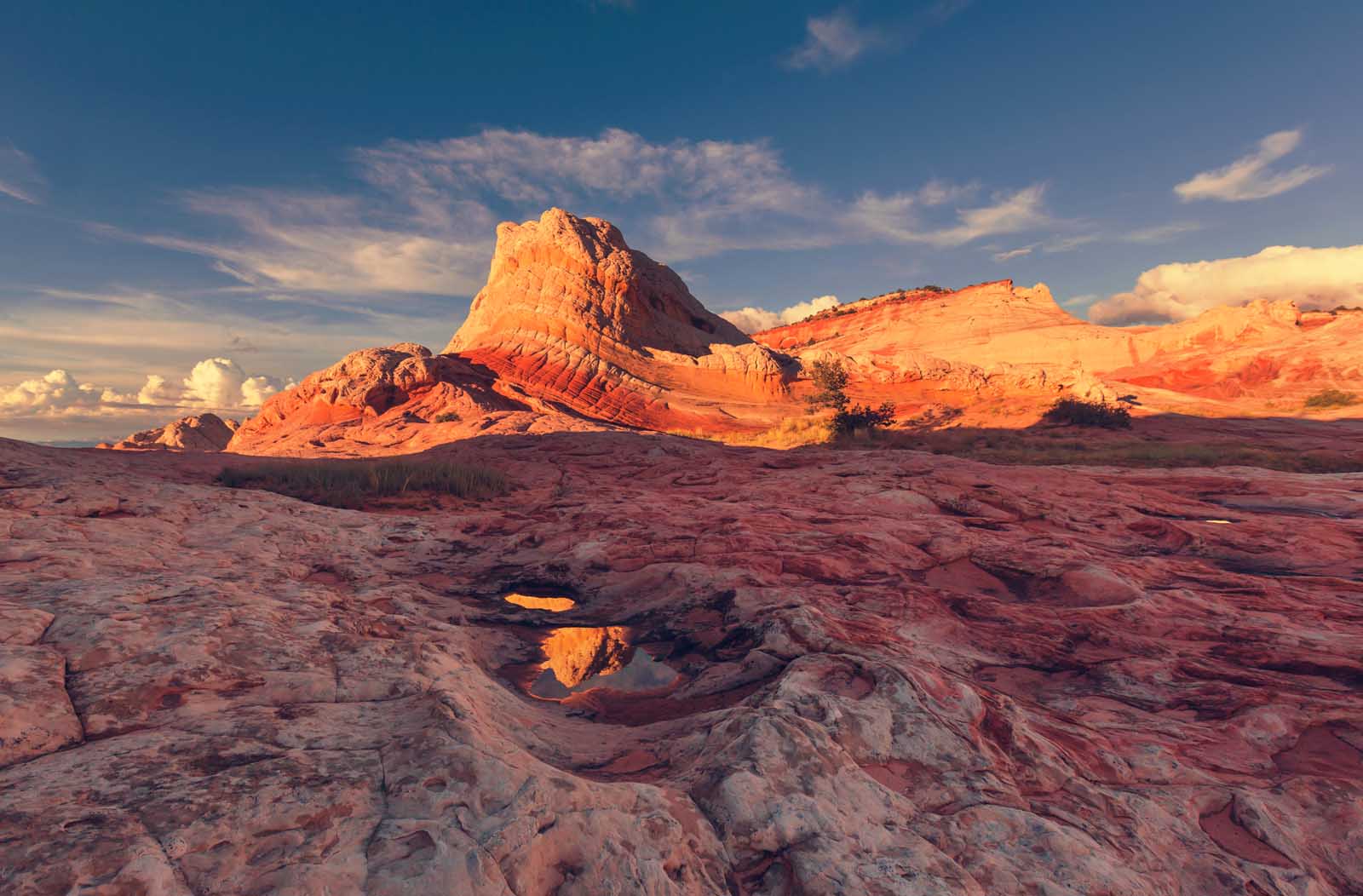 Las mejores cosas que hacer en Arizona Vermilion Cliffs National Monument 