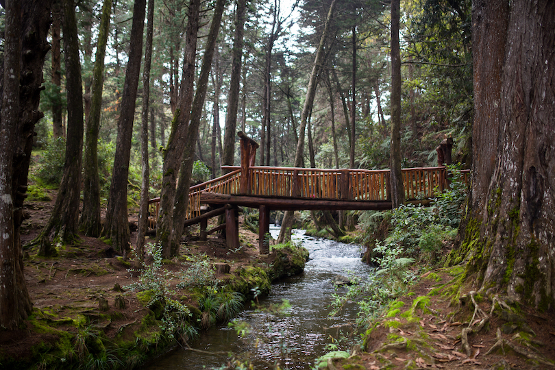 Parque Arvi