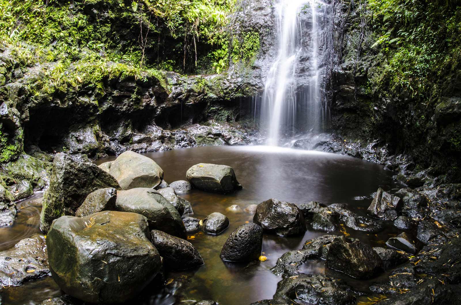 Las mejores excursiones a Oahu Waimea Falls Trail