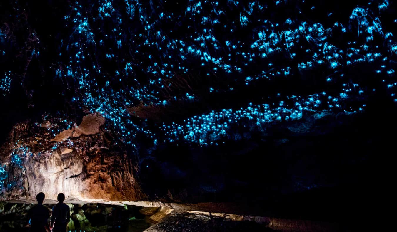 Los famosos gusanos brillantes en una cueva de Waitomo, Nueva Zelanda