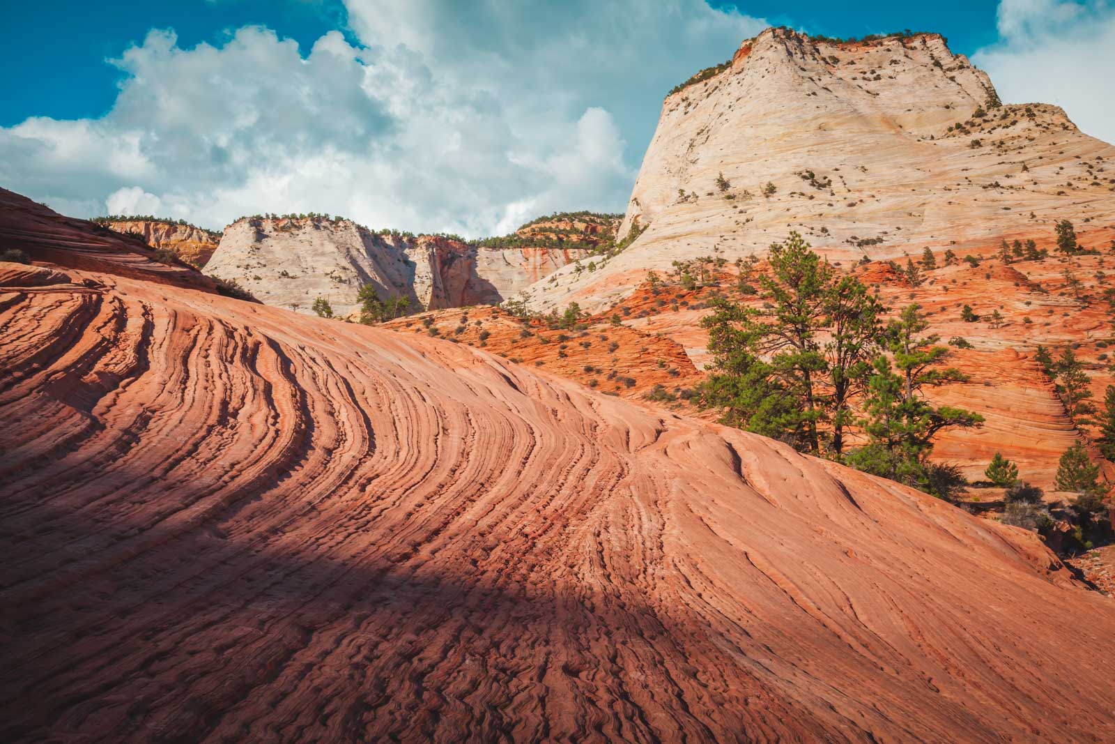 Las mejores excursiones de un día desde Las Vegas Zion-National-Park