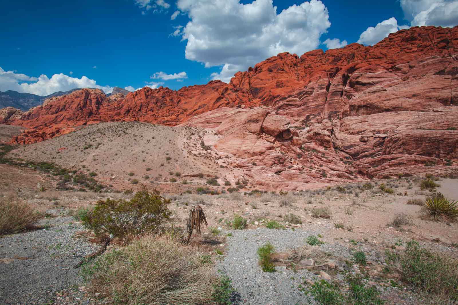 Las mejores excursiones de un día desde Las Vegas Red Rock Canyon