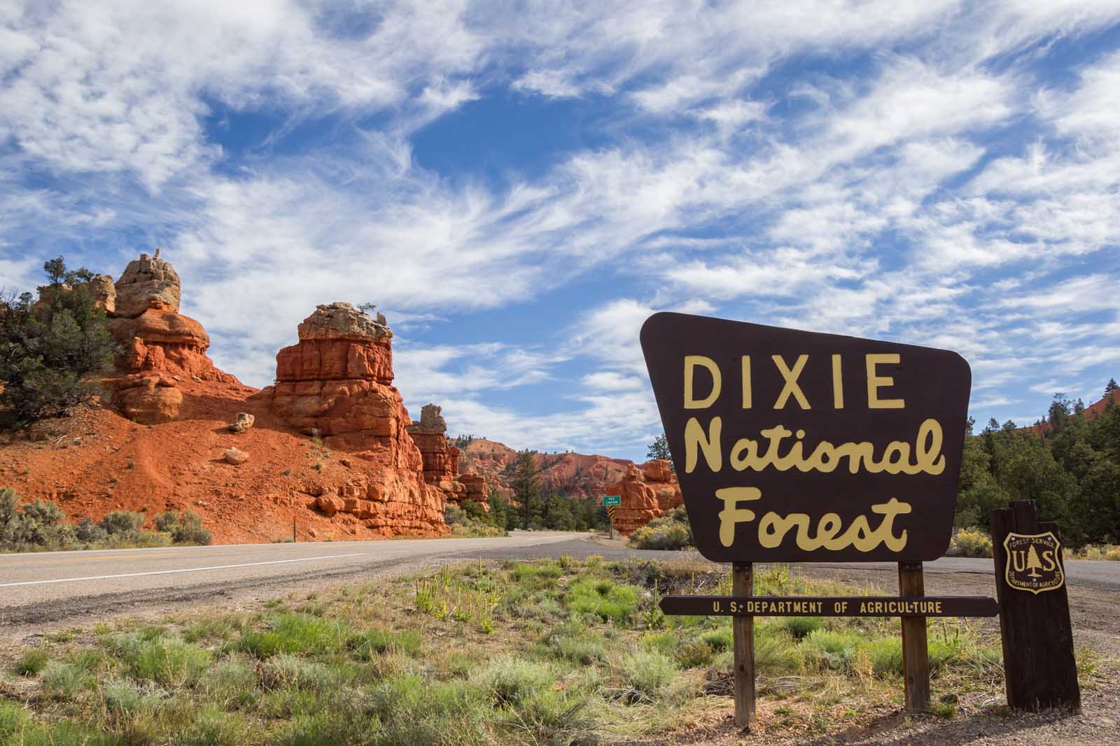 Las mejores excursiones de un día desde Las Vegas Dixie National Forest