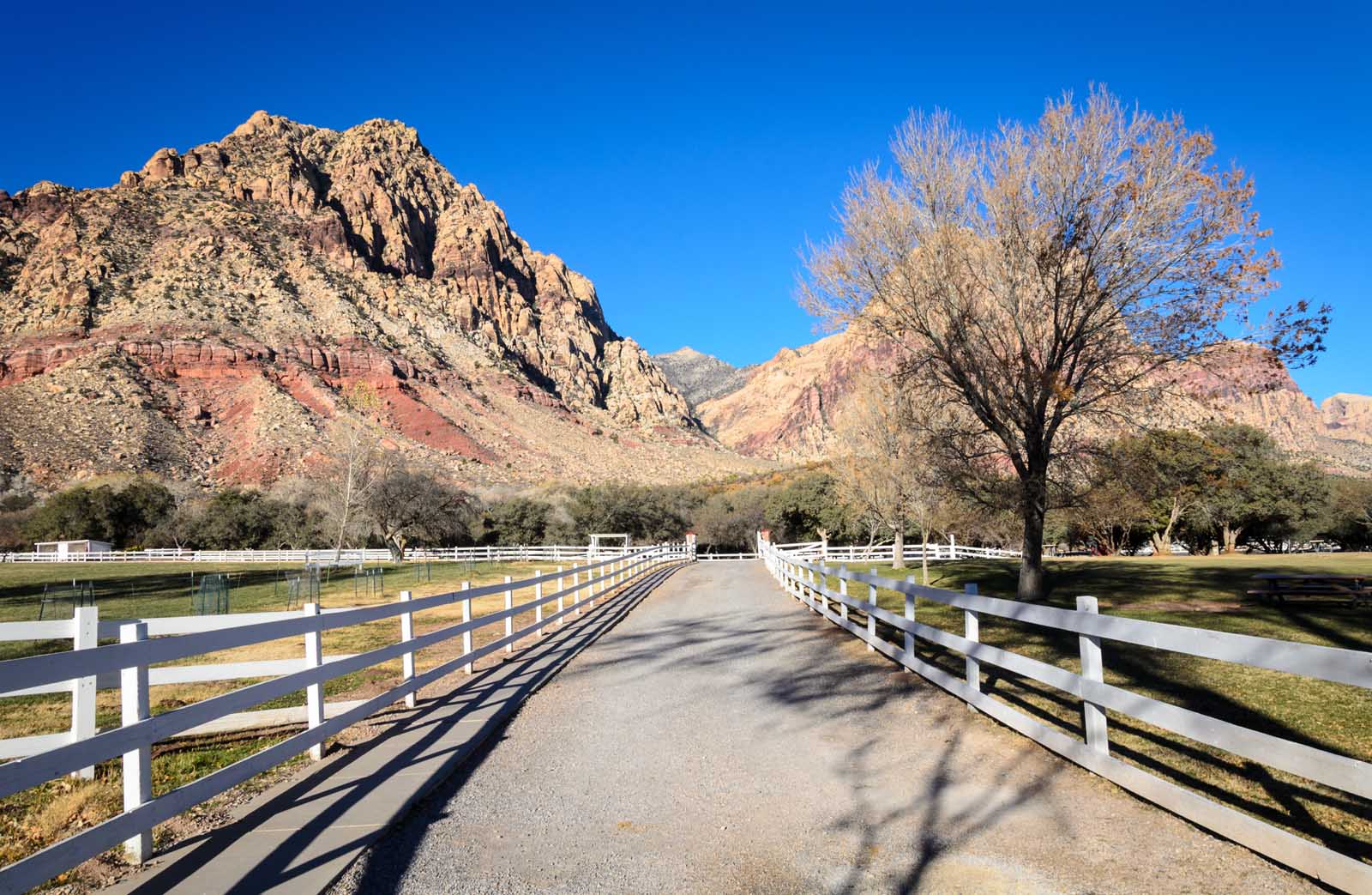 Las mejores excursiones de un día desde el parque estatal Spring Mountain Ranch de Las Vegas