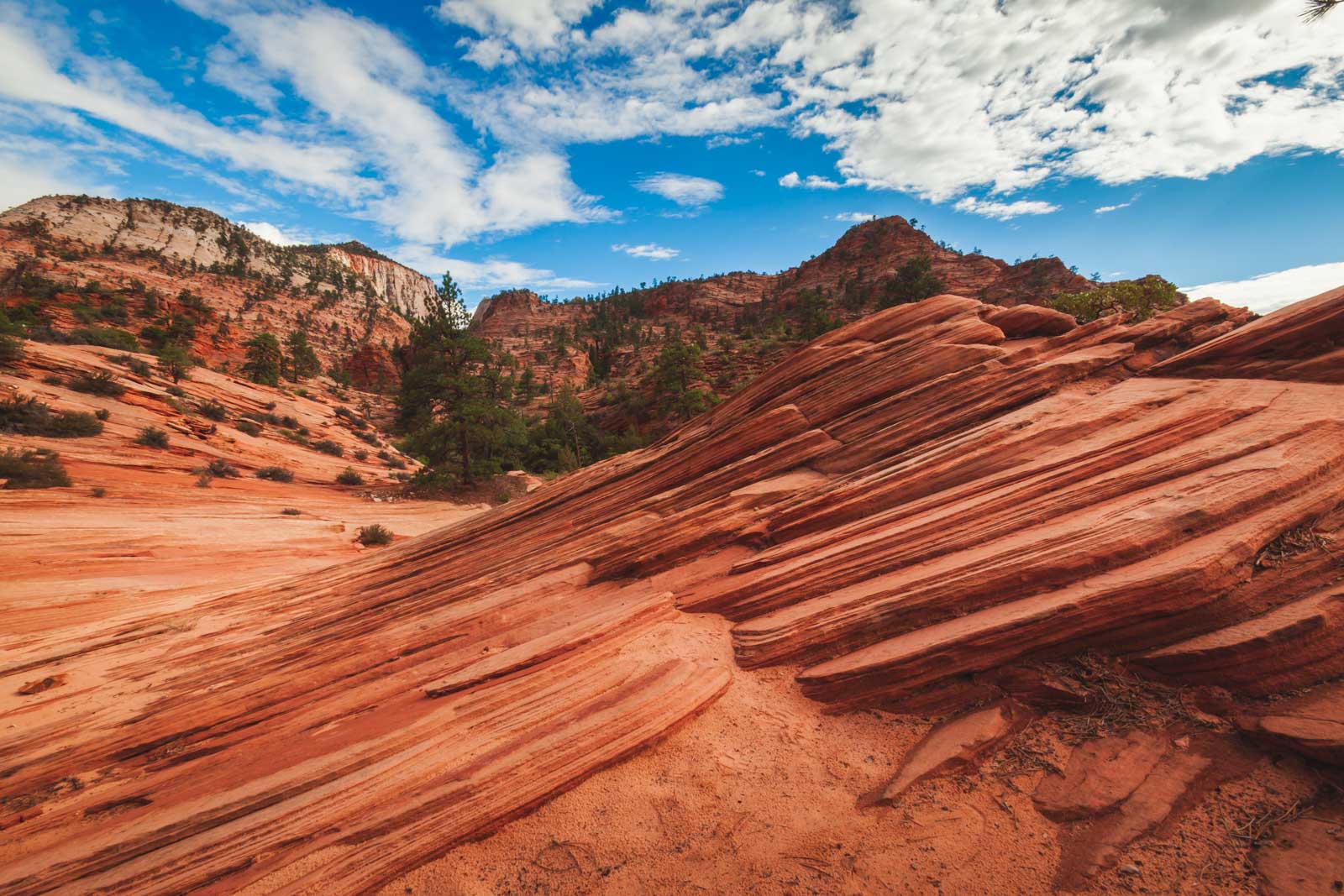 Zion National Park, una de las mejores excursiones de un día desde Las Vegas