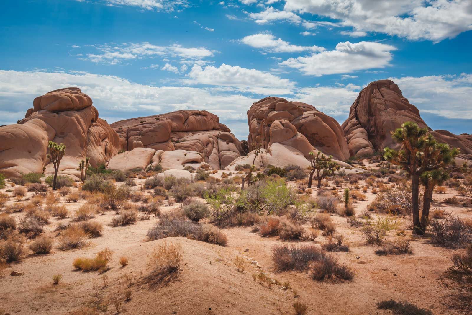 Las mejores excursiones de un día desde el Parque Nacional Joshua Tree de Las Vegas