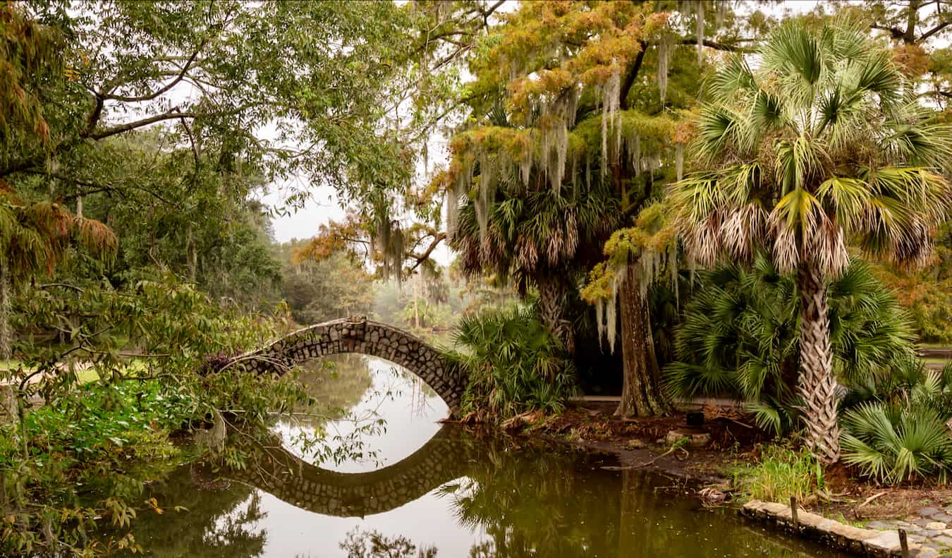 Un viejo puente sobre el agua en la vegetación exuberante del City Park, NOLA