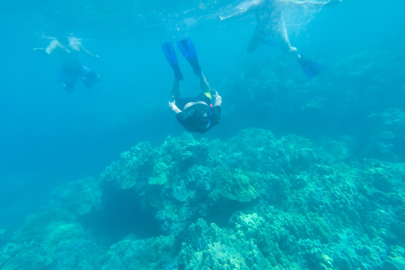 Las mejores cosas que hacer en Honolulu Snorkeling