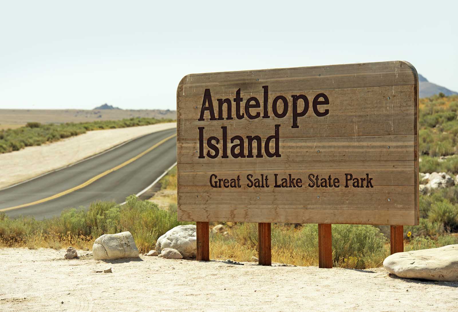 Las mejores cosas que hacer en Salt Lake City Antelope Island