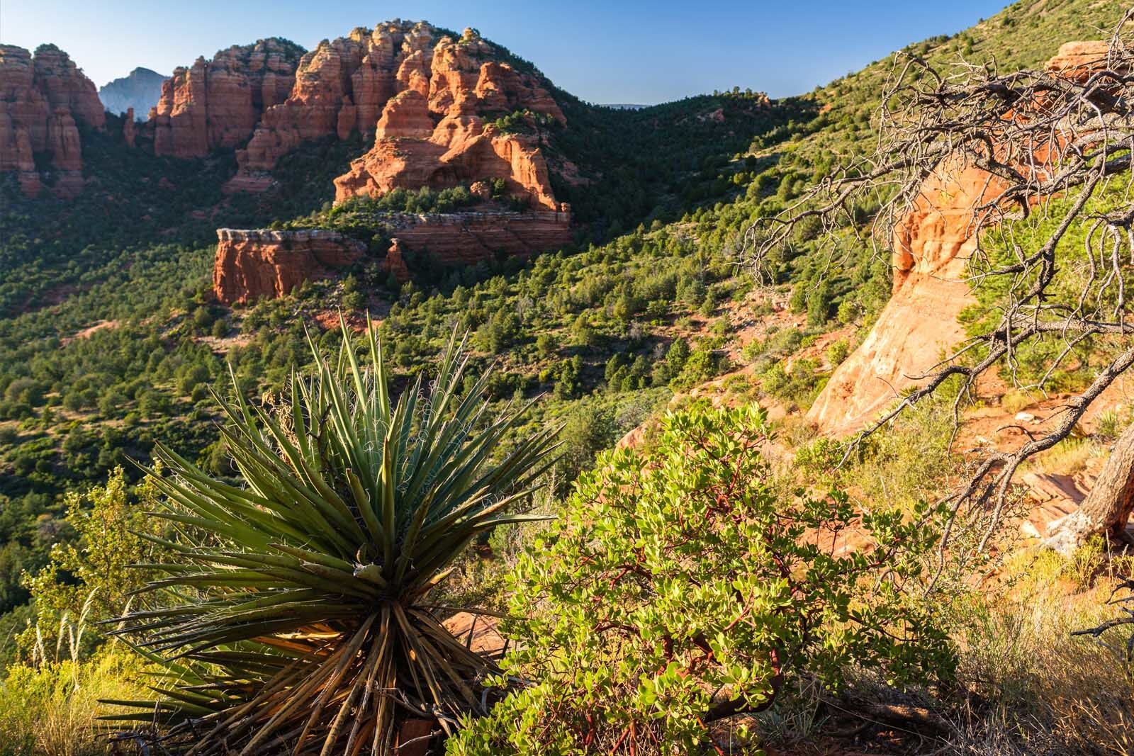 Las ciudades más frescas de Arizona