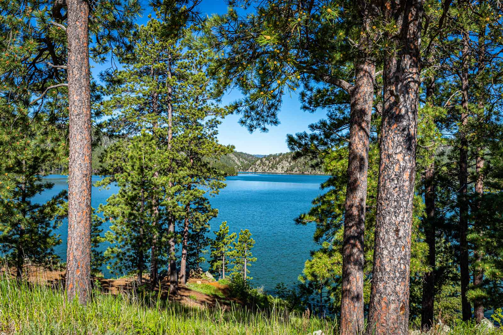 Las mejores cosas que hacer en Custer State Park Center Lake