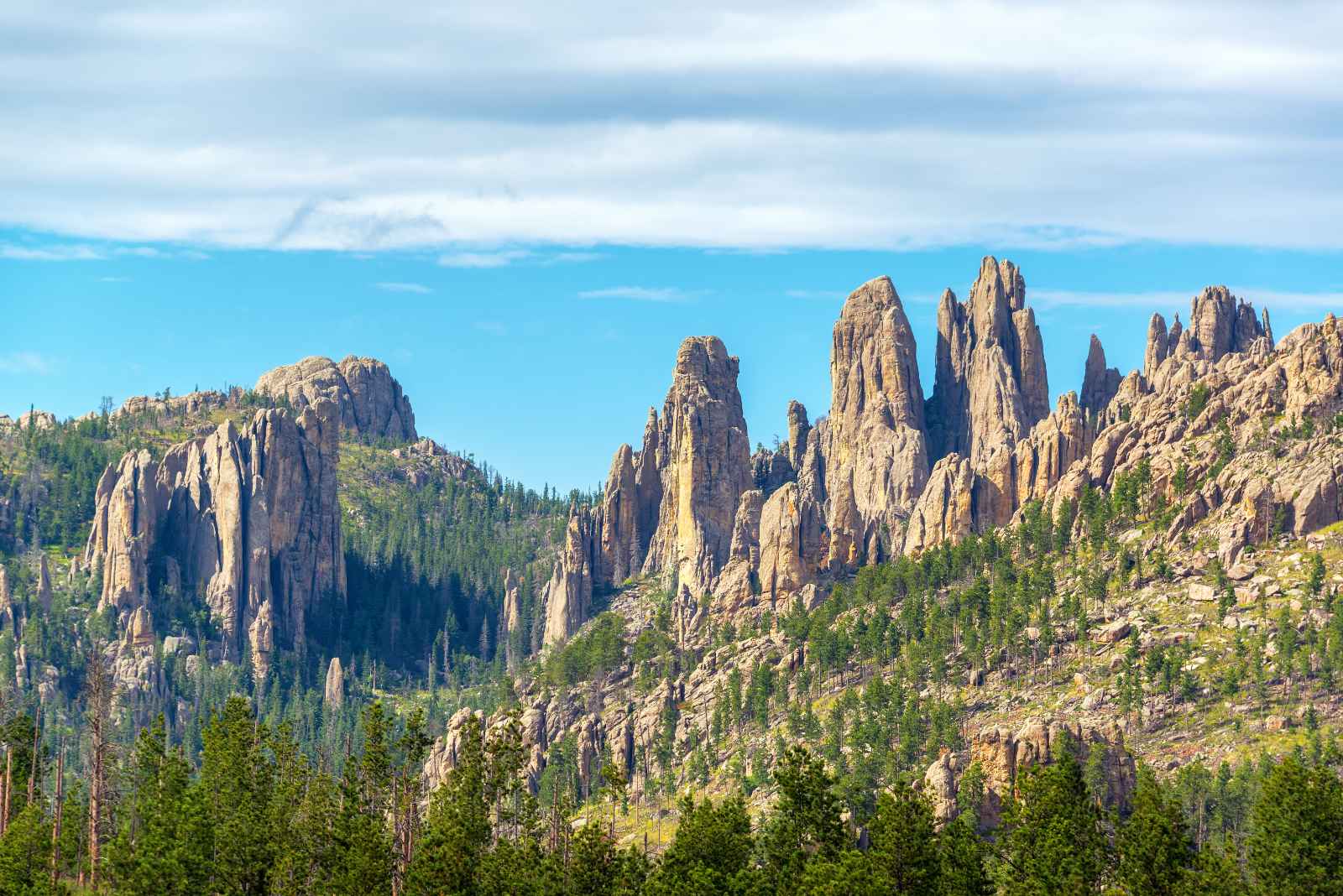 Las mejores cosas que hacer en Custer State Park Cathedral Spires Trail