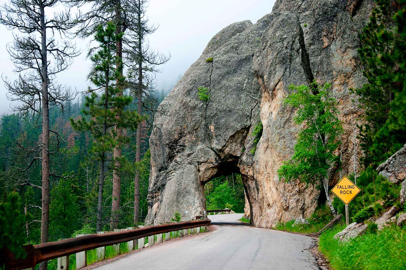 Las mejores cosas que hacer en Custer State Park Peter Norbeck Scenic Byway