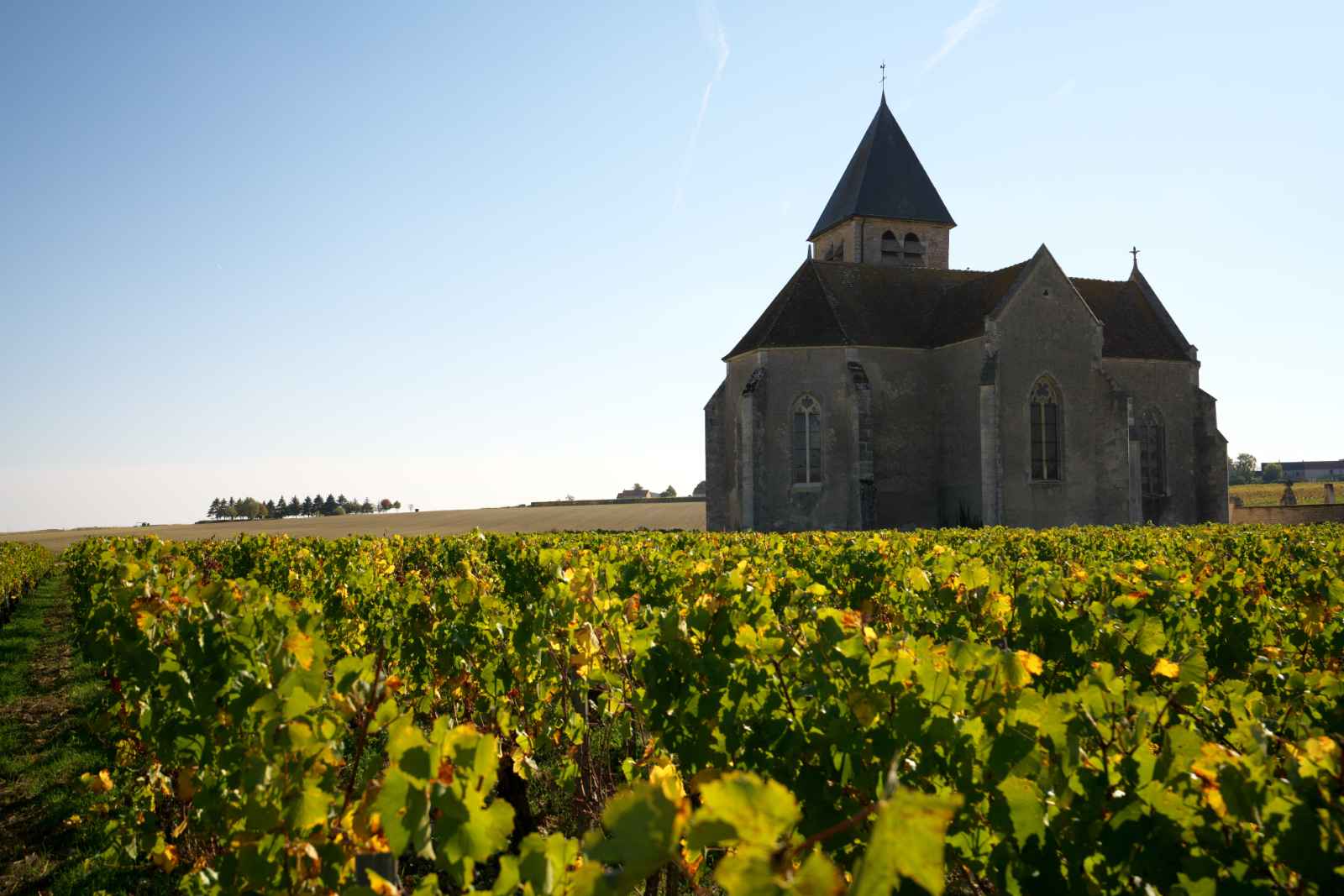 Las mejores excursiones de un día desde París Chablis