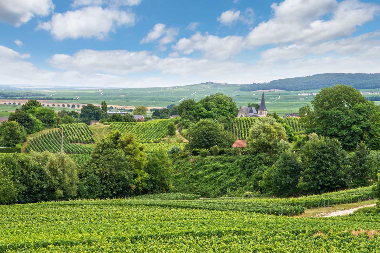 Las mejores excursiones de un día desde París Reims