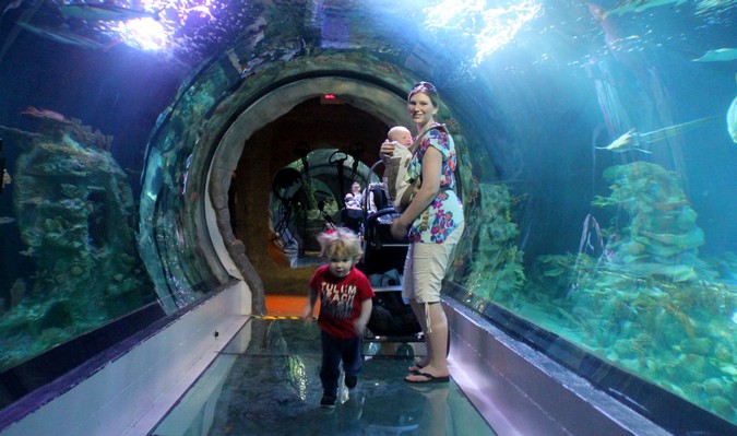 Madre y niños en un túnel de acuario rodeado de agua y peces