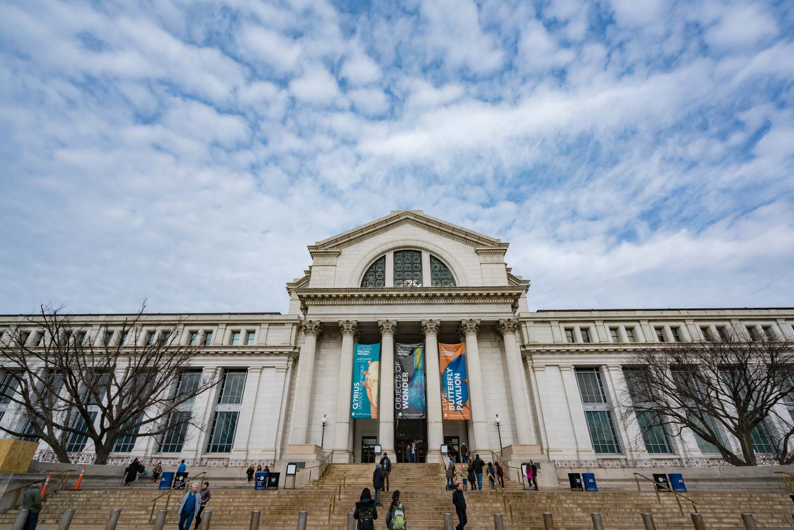 Mejores museos de Washington Mi Museo Smithsonian de Historia Natural