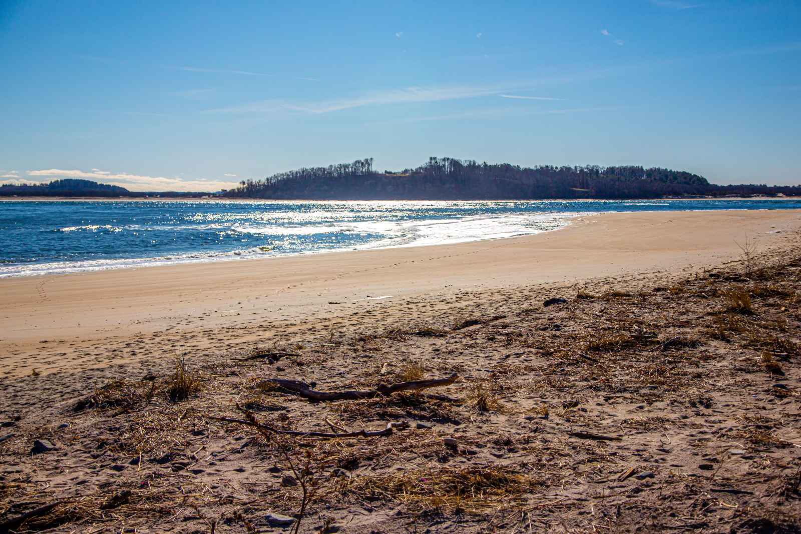 Las mejores excursiones de un día desde Boston Plum Island