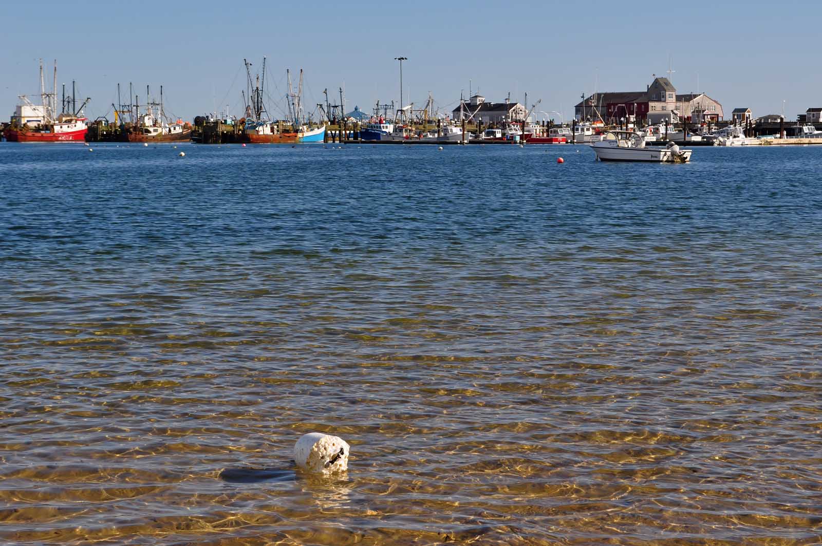 Las mejores excursiones de un día desde Boston Provincetown