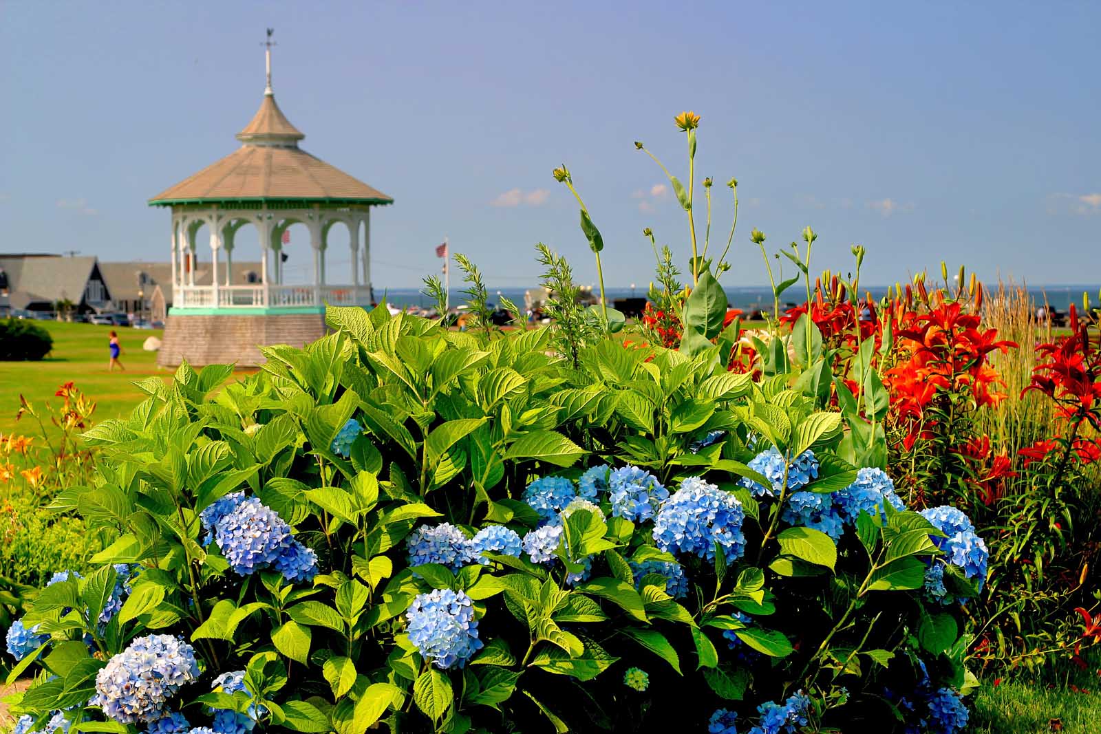 Las mejores excursiones de un día desde Boston Martha's Vineyard