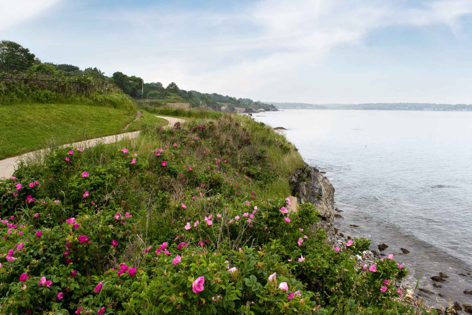 Las mejores excursiones de un día desde Boston Newport