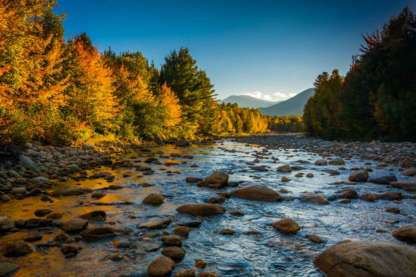 Las mejores excursiones de un día desde el bosque nacional de la montaña blanca de Boston